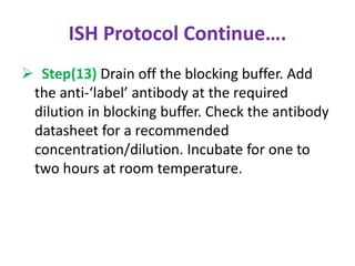 ISH Protocol Continue…. 
 Step(13) Drain off the blocking buffer. Add 
the anti-‘label’ antibody at the required 
dilution in blocking buffer. Check the antibody 
datasheet for a recommended 
concentration/dilution. Incubate for one to 
two hours at room temperature. 
 