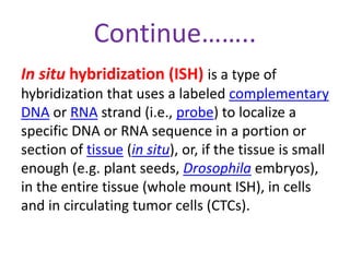 Continue…….. 
In situ hybridization (ISH) is a type of 
hybridization that uses a labeled complementary 
DNA or RNA strand (i.e., probe) to localize a 
specific DNA or RNA sequence in a portion or 
section of tissue (in situ), or, if the tissue is small 
enough (e.g. plant seeds, Drosophila embryos), 
in the entire tissue (whole mount ISH), in cells 
and in circulating tumor cells (CTCs). 
 