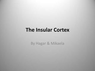 The Insular Cortex By Hagar & Mikaela 