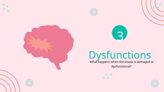 Dysfunctions
What happens when the Insula is damaged or
dysfunctional?
3
 