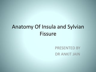Anatomy Of Insula and Sylvian
Fissure
PRESENTED BY
DR ANKIT JAIN
 