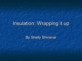 Insulation: Wrapping it up

     By Shelly Shinevar
 