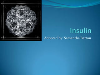 Insulin Adopted by: Samantha Barton 