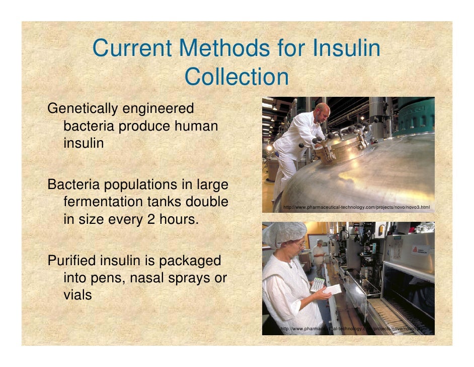 How do they harvest insulin from pigs?