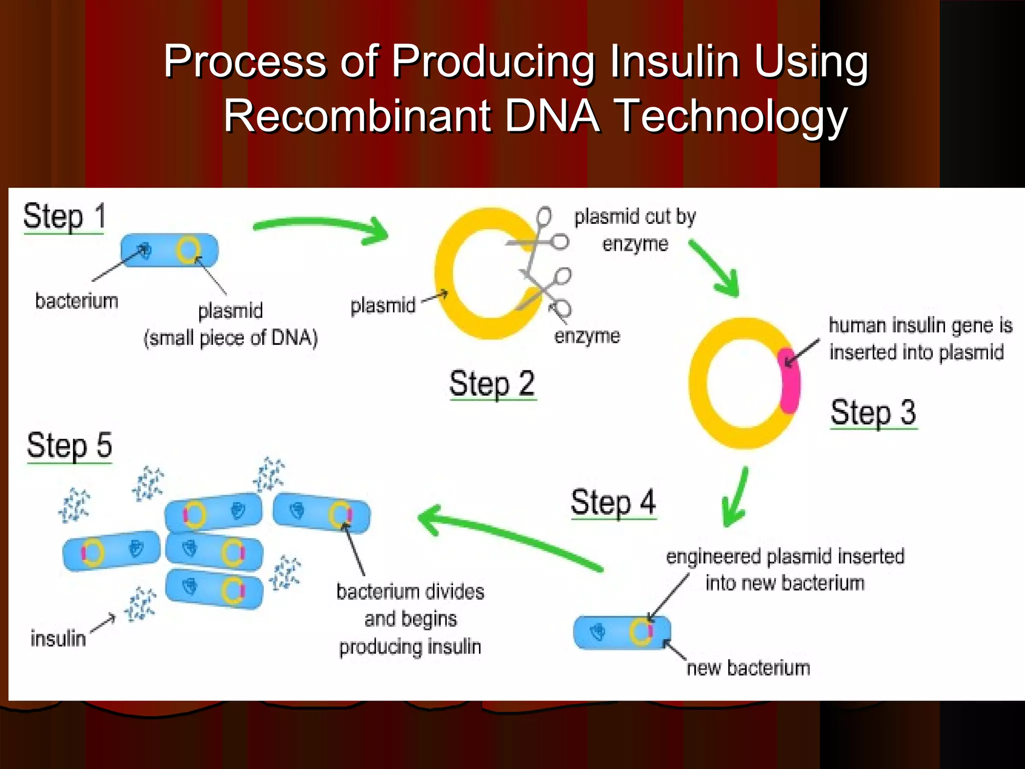 Process of Producing Insulin Using
   Recombinant DNA Technology
 