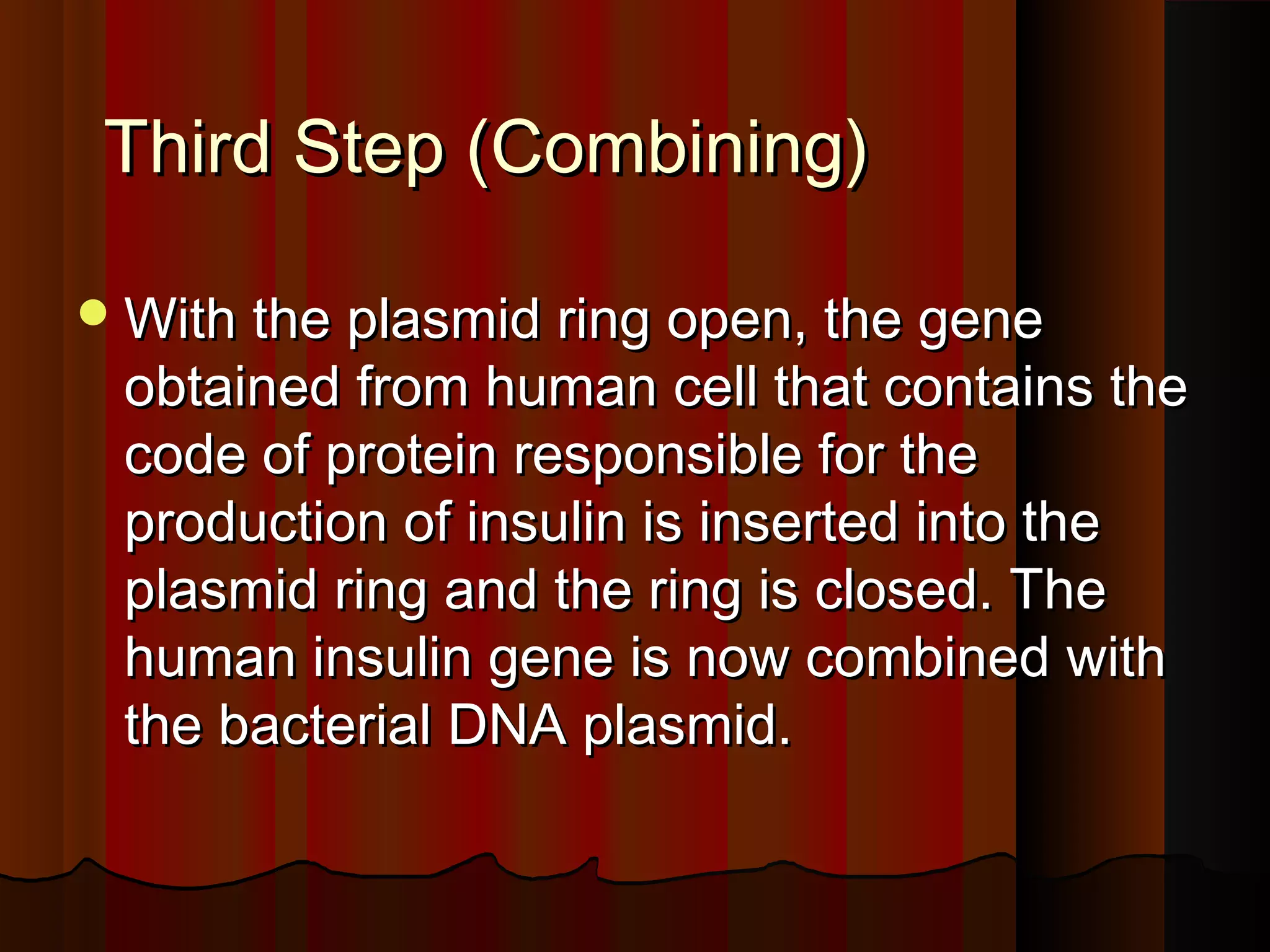 Third Step (Combining)

 With the plasmid ring open, the gene
 obtained from human cell that contains the
 code of protein responsible for the
 production of insulin is inserted into the
 plasmid ring and the ring is closed. The
 human insulin gene is now combined with
 the bacterial DNA plasmid.
 