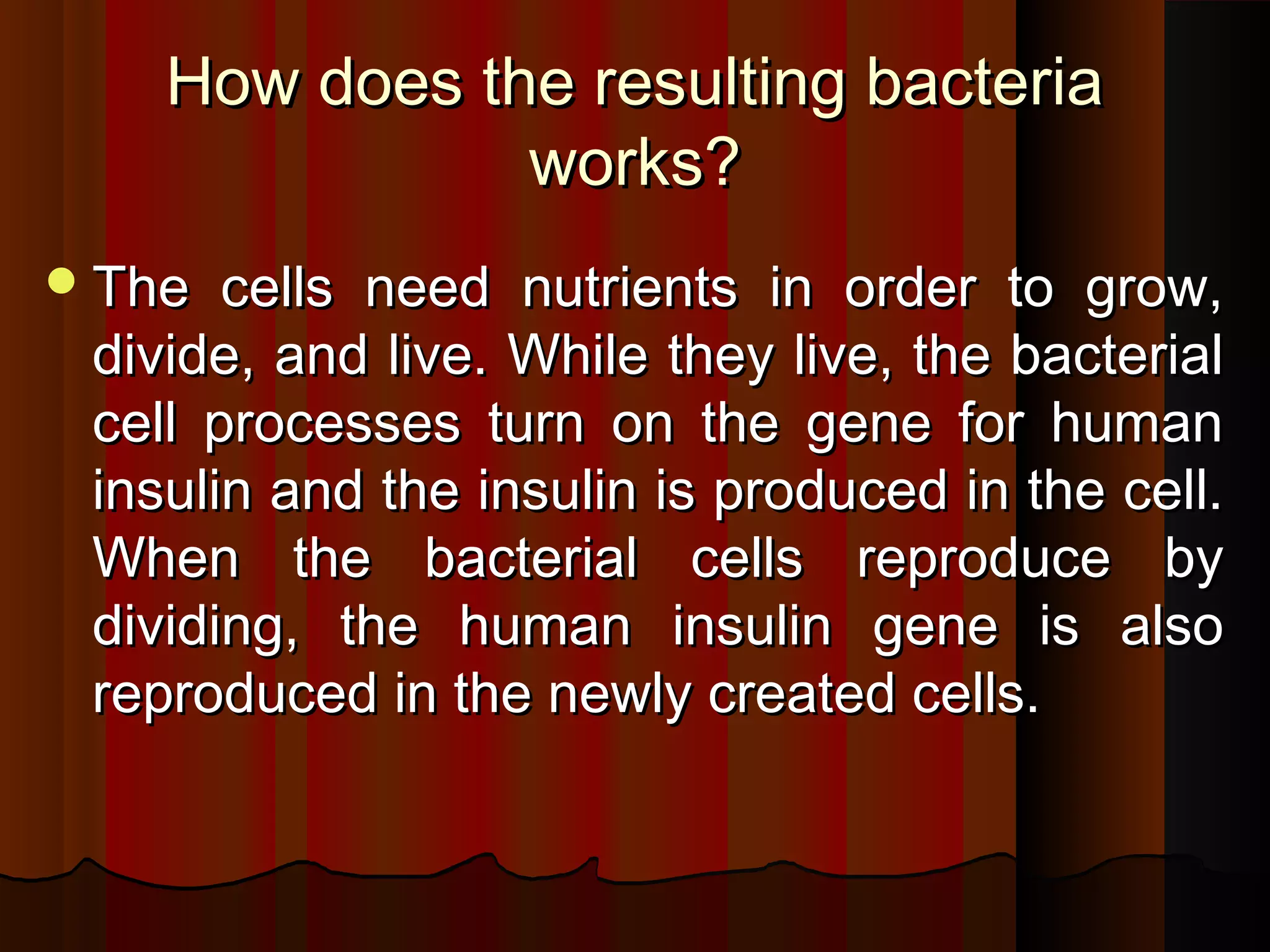 How does the resulting bacteria
               works?
 The  cells need nutrients in order to grow,
 divide, and live. While they live, the bacterial
 cell processes turn on the gene for human
 insulin and the insulin is produced in the cell.
 When the bacterial cells reproduce by
 dividing, the human insulin gene is also
 reproduced in the newly created cells.
 