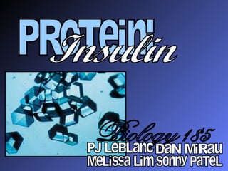 PRoTein: Insulin Biology 185 PJ LeBLanc MeLissa Lim Sonny PaTeL DaN MiRau 