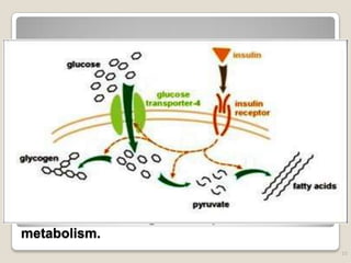 Effect of insulin on glucose uptake and
metabolism.
10
 