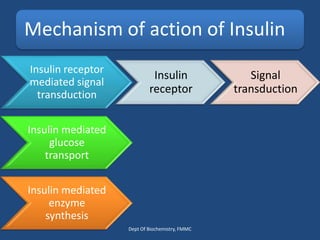 Mechanism of action of Insulin
Insulin receptor
mediated signal
transduction
Insulin
receptor
Signal
transduction
Insulin mediated
glucose
transport
Insulin mediated
enzyme
synthesis
Dept Of Biochemistry, FMMC
 