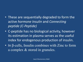 • These are sequentially degraded to form the
active hormone Insulin and Connecting
peptide (C-Peptide)
• C-peptide has no biological activity, however
its estimation in plasma serves as the useful
index for endogenous production of insulin.
• In β-cells, Insulin combines with Zinc to form
a complex & stored in granules.
Dept Of Biochemistry, FMMC
 