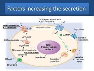 Factors increasing the secretion
– Stimulating the
secretion
• Glucose
• Aminoacids
• GI Hormone (secretin,
gastrin, pancreozymin)
• Parasympatheic
stimulation
• Incretin hormone
– Inhibiting secretion
• Epinephrine
• Alp-ha adrenergic
stimulaion
Dept Of Biochemistry, FMMC
 