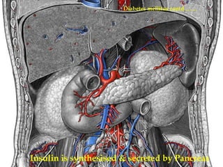 Diabetes mellitus contd…….
Insulin is synthesised & secreted by Pancreas
 