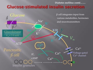 Ca2+
Insulin granules
Na+
Na+
K+
K+
K+
K+
ATP
Na+
K+
-
K+
Glucose
GLUT2
Ca2+
Ca2+
Ca2+
Voltage-gated
Ca2+
channel
KIR
Vm
Pancreatic
ß cell IP3
cAMP
Glucokinase
Km= 7-9 mM
β cell integrates input from
various metabolites, hormones
and neurotransmitters
Diabetes mellitus contd…….
 