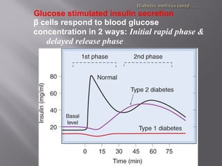 Glucose stimulated insulin secretion
β cells respond to blood glucose
concentration in 2 ways: Initial rapid phase &
delayed release phase
 