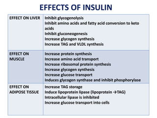 EFFECTS OF INSULIN
EFFECT ON LIVER Inhibit glycogenolysis
Inhibit amino acids and fatty acid conversion to keto
acids
Inhibit gluconeogenesis
Increase glycogen synthesis
Increase TAG and VLDL synthesis
EFFECT ON
MUSCLE
Increase protein synthesis
Increase amino acid transport
Increase ribosomal protein synthesis
Increase glycogen synthesis
Increase glucose transport
Induces glycogen synthase and inhibit phosphorylase
EFFECT ON
ADIPOSE TISSUE
Increase TAG storage
Induce lipoprotein lipase (lipoprotein →TAG)
Intracellular lipase is inhibited
Increase glucose transport into cells
 
