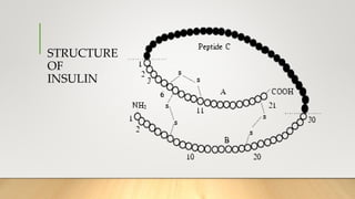 STRUCTURE
OF
INSULIN
 