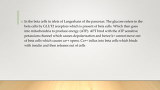 .• In the beta cells in islets of Langerhans of the pancreas. The glucose enters in the
beta cells by GLUT2 receptors which is present of beta cells. Which then goes
into mitochondria to produce energy (ATP). APT bind with the ATP sensitive
potassium channel which causes depolarization and hence k+ cannot move out
of beta cells which causes ca++ opens. Ca++ influx into beta cells which binds
with insulin and then releases out of cells
 