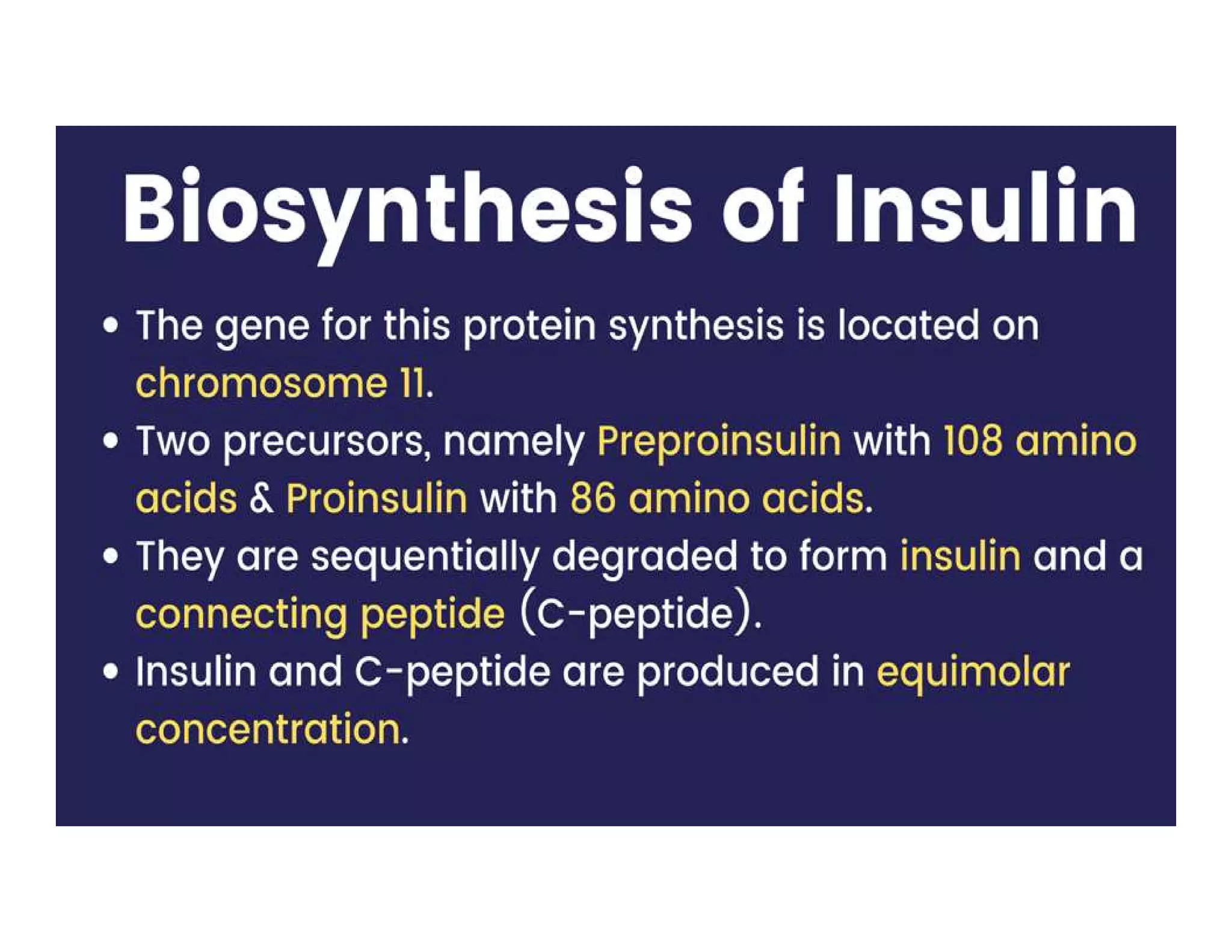 Insulin | Discovery of Insulin | Structure of insulin | Biosynthesis of Insulin | Regulation of Insulin | Mechanism of action of insulin