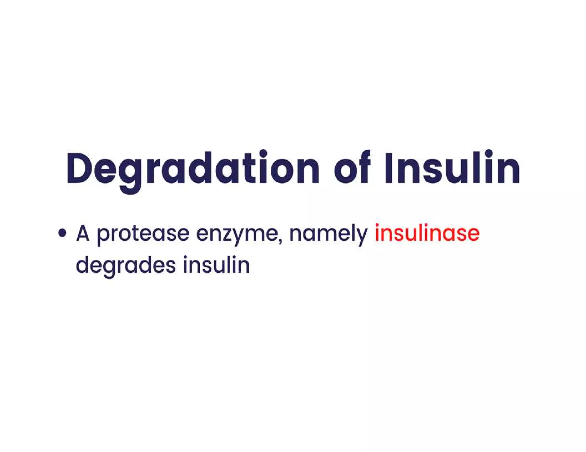 Insulin | Discovery of Insulin | Structure of insulin | Biosynthesis of Insulin | Regulation of Insulin | Mechanism of action of insulin