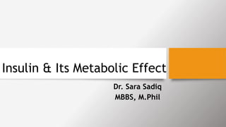 Insulin & Its Metabolic Effect
Dr. Sara Sadiq
MBBS, M.Phil
 