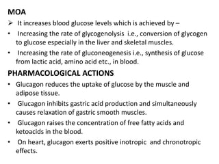 MOA
 It increases blood glucose levels which is achieved by –
• Increasing the rate of glycogenolysis i.e., conversion of glycogen
to glucose especially in the liver and skeletal muscles.
• Increasing the rate of gluconeogenesis i.e., synthesis of glucose
from lactic acid, amino acid etc., in blood.
PHARMACOLOGICAL ACTIONS
• Glucagon reduces the uptake of glucose by the muscle and
adipose tissue.
• Glucagon inhibits gastric acid production and simultaneously
causes relaxation of gastric smooth muscles.
• Glucagon raises the concentration of free fatty acids and
ketoacids in the blood.
• On heart, glucagon exerts positive inotropic and chronotropic
effects.
 