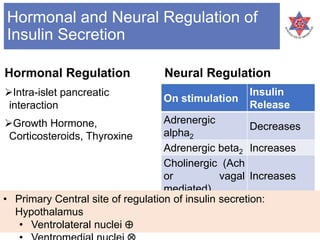 Hormonal and Neural Regulation of
Insulin Secretion
Hormonal Regulation
Intra-islet pancreatic
interaction
Growth Hormone,
Corticosteroids, Thyroxine
Neural Regulation
On stimulation
Insulin
Release
Adrenergic
alpha2
Decreases
Adrenergic beta2 Increases
Cholinergic (Ach
or vagal
mediated)
Increases
• Primary Central site of regulation of insulin secretion:
Hypothalamus
• Ventrolateral nuclei 
 