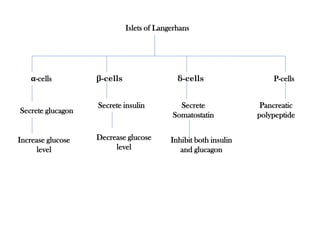 Islets of Langerhans
δ-cells
β-cells P-cells
α-cells
Increase glucose
level
Decrease glucose
level
Secrete glucagon
Secrete
Somatostatin
Inhibit both insulin
and glucagon
Pancreatic
polypeptide
Secrete insulin
 