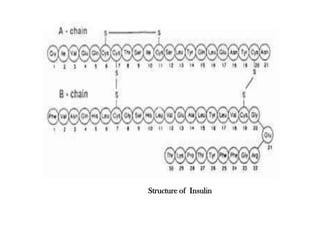 Structure of Insulin
 