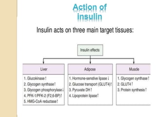 Role of Insulin in Health and Disease: a polypeptide hormone. | PPTX