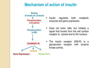 Role of Insulin in Health and Disease: a polypeptide hormone. | PPTX