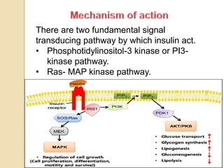 Role of Insulin in Health and Disease: a polypeptide hormone. | PPTX