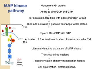 Role of Insulin in Health and Disease: a polypeptide hormone. | PPTX