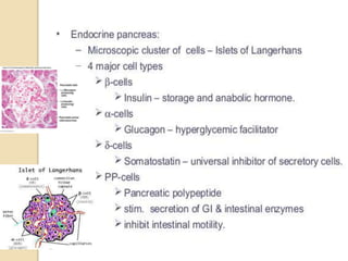 Role of Insulin in Health and Disease: a polypeptide hormone. | PPTX