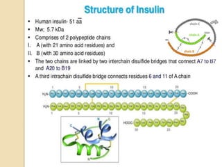 Role of Insulin in Health and Disease: a polypeptide hormone. | PPTX
