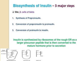 Role of Insulin in Health and Disease: a polypeptide hormone. | PPTX