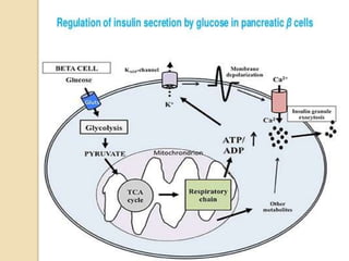 Role of Insulin in Health and Disease: a polypeptide hormone. | PPTX