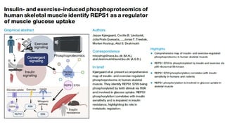 Molecular Mechanisms of Insulin and Exercise-Induced Glucose Uptake in ...