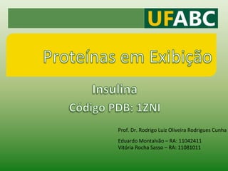     Prof.	
  Dr.	
  Rodrigo	
  Luiz	
  Oliveira	
  Rodrigues	
  Cunha	
  	
  
       Eduardo	
  Montalvão	
  –	
  RA:	
  11042411	
  
       Vitória	
  Rocha	
  Sasso	
  –	
  RA:	
  11081011 	
  	
  
 