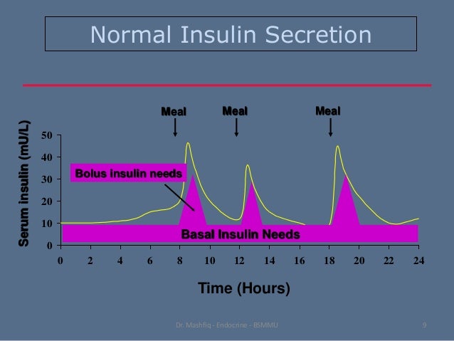normal insulin profileì ëí ì´ë¯¸ì§ ê²ìê²°ê³¼