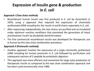 Insulin-Production.pdf