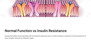 Insulin Receptors: Molecular Architecture, Signalling, and Therapeutic ...