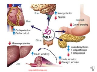 Beautiful view of Reduce Insulin Secretion