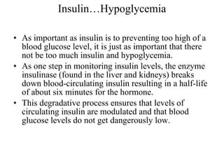 Insulin…Hypoglycemia As important as insulin is to preventing too high of a blood glucose level, it is just as important that there not be too much insulin and hypoglycemia.  As one step in monitoring insulin levels, the enzyme insulinase (found in the liver and kidneys) breaks down blood-circulating insulin resulting in a half-life of about six minutes for the hormone.  This degradative process ensures that levels of circulating insulin are modulated and that blood glucose levels do not get dangerously low.  