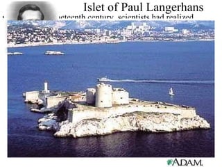 Islet of Paul Langerhans Late in the nineteenth century, scientists had realized there was a connection between the pancreas and diabetes. The connection was further narrowed down to the islets of Langerhans, a part of the pancreas. From 1910 to 1920, Oscar Minkowski and others tried unsuccessfully to find and extract the active ingredient from the islets of Langerhans. While reading a paper on the subject in 1920, Banting had an inspiration. He realized that the pancreas' digestive juice was destroying the islets of Langerhans hormone before it could be isolated. If he could stop the pancreas from working, but keep the islets of Langerhans going, he should be able to find the stuff! He presented this idea to Macleod, who at first scoffed at it. Banting badgered him until finally Macleod gave him lab space, 10 experimental dogs, and a medical student assistant.  