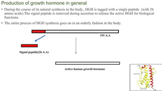 production of recombinant proteins | PPT