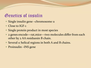 Genetics of insulinSingle insulin gene –chromosome 11Close to IGF-1Single protein product in most species2 genes encode—rat,mice---two molecules differ from each other by 2 AA residuesin B chain.Several  helical regions in both A and B chains.Proinsulin –INS gene