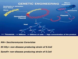 NN= SaccharomycesCerevisiaeEli lilly= non-disease producing strain of E.ColiSanofi= non-disease producing strain of E.Coli