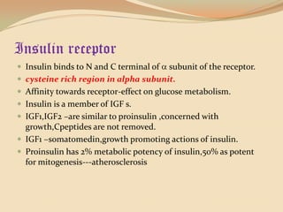 Insulin receptorInsulin binds to N and C terminal of  subunit of the receptor.cysteine rich region in alpha subunit.Affinity towards receptor-effect on glucose metabolism.Insulin is a member of IGF s.IGF1,IGF2 –are similar to proinsulin ,concerned with growth,Cpeptides are not removed.IGF1 –somatomedin,growth promoting actions of insulin.Proinsulin has 2% metabolic potency of insulin,50% as potent for mitogenesis---atherosclerosis