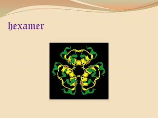 hexamer